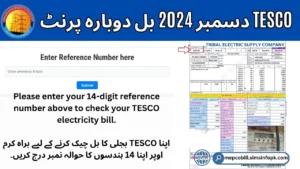 TESCO December 2024 bill Reprint