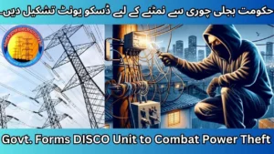 Govt. Forms DISCO Unit to Combat Power Theft