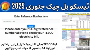 TESCO Bill Check January 2025