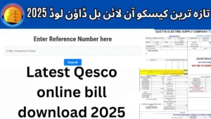 Latest Qesco online bill download 2025